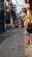 Un scootériste roule sur une personne allongé qui bloque la route