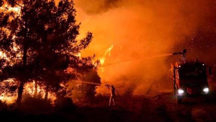 PKK'nın talimatıyla Antalya'da orman yakma hazırlığında olan şahıs kıskıvrak yakalandı