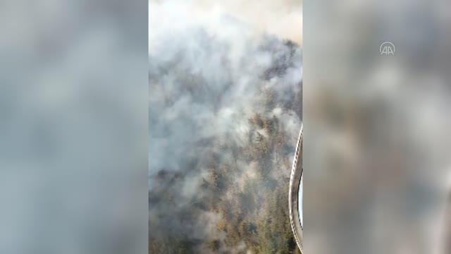 Son dakika haber... KAHRAMANMARAŞ - Onikişubat ilçesinde orman yangını (2)