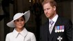 Meghan Markle: This is the reason why she adopted a new dog