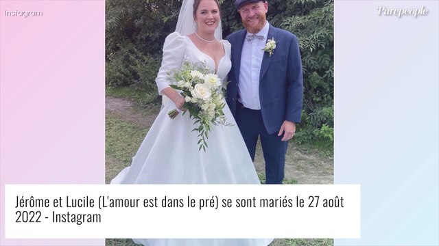 Mariage de Jérôme et Lucile (L'amour est dans le pré) : Karine Le Marchand grande absente, la raison dévoilée
