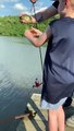 Kid Screams Trying to Catch Fish Out of Water