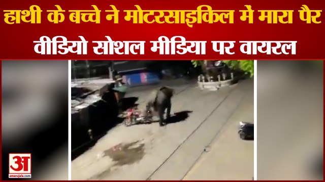 Assam Elephant Viral Video : हाथी के बच्चे ने मोटरसाइकिल में मारा पैर वीडियो सोशल मीडिया पर वायरल