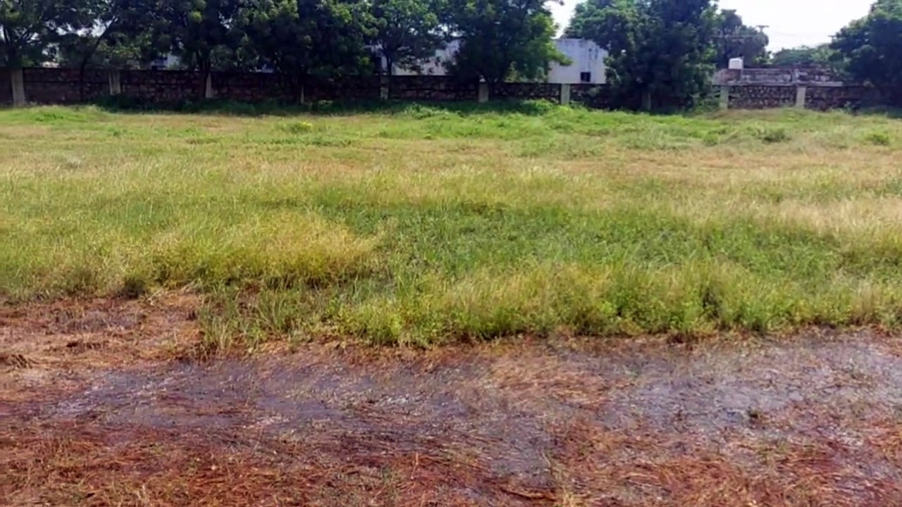 राष्ट्रीय खेल दिवस: दुर्दशा का शिकार दौसा का खेल स्टेडियम