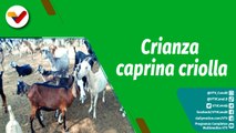 Cultivando Patria |  II Encuentro Nacional de Productores de Cabras, Chivos, Ovejas y Ovejos