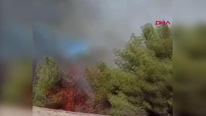 Kahramanmaraş haberi! KAHRAMANMARAŞ'TA İKİNCİ YANGINDA 1 HEKTARLIK ALAN YANDI