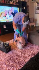 Piggy Smalls Gets His Nails Done