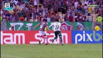 Fluminense x Palmeiras (Campeonato Brasileiro 2022 24ª rodada) 1° tempo