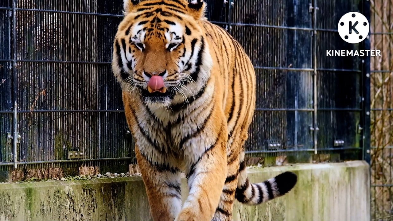 Meditation‍♀️‍♀️‍♀️quotes  Best Motivational quotes