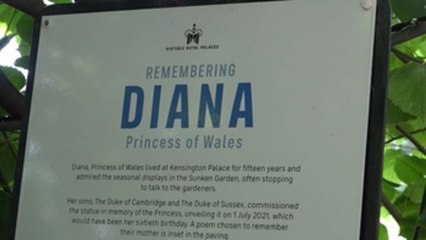 Diana de Gales, la princesa que no obedeció
