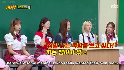 An Yujin's protein bar incident, Kim Young Chul is funny to Japanese people, Rei's talents | KNOWING BROS EP 347