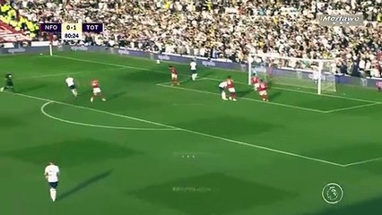 هدف توتنهام الثانى