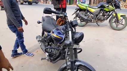 Bajaj Avenger 150 Street Review