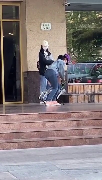 Taking a Robot Dog for a Walk