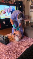 Piggy Smalls Gets His Nails Done