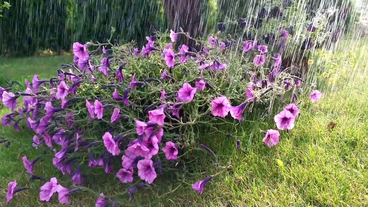 4k video of the rain  with Thunder Sounds Heavy  for Sleep Study and Relaxation Meditation