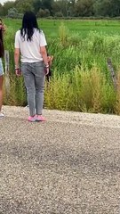 The Forbidden 'Wild' Corn Dogs