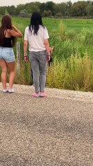 The Forbidden 'Wild' Corn Dogs