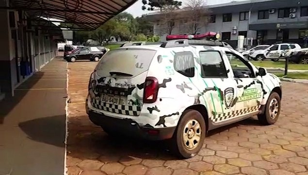 Indivíduo é detido por maus tratos a animais