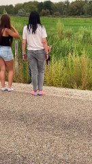 The Forbidden 'Wild' Corn Dogs