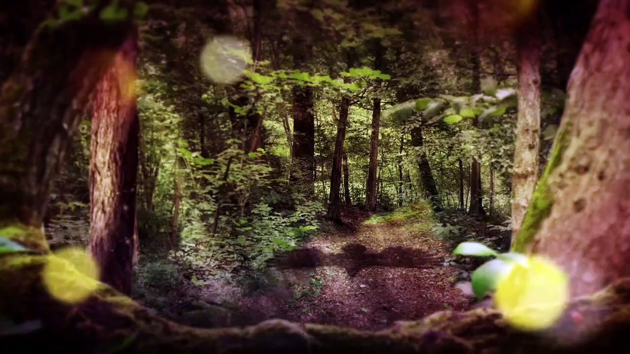 Fluch des Falken Staffel 2 Folge 36 HD Deutsch