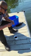 Mink Steals Fisher's Catch