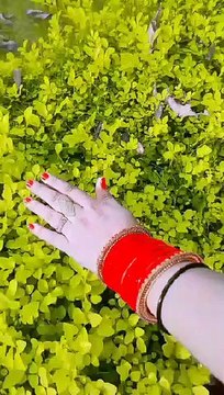 YouTube Me Viral Ho raha Ye Vdieo dekho Jara kya Hai