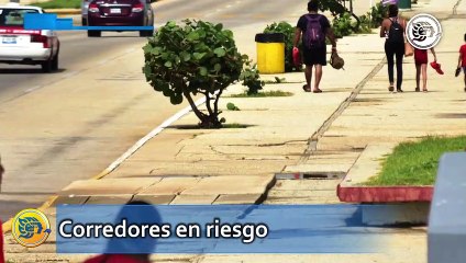 Urge rehabilitar banquetas del Malecón tras accidentes: Juan Arjona