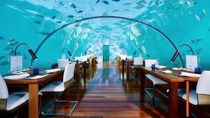 10 Most Unusual Restaurants in the World