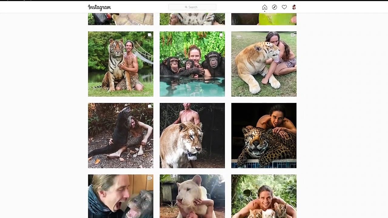 7 Strongest Friendships Between Humans and Wild Animals