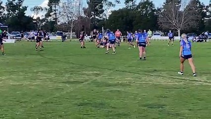 Blacks fall to Waratahs | August 2022 | The Area News