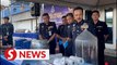 Five arrested, RM6.6mil worth of drugs seized from shed in Perak jungle
