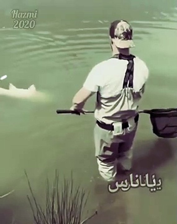 الارزاق بيد الله