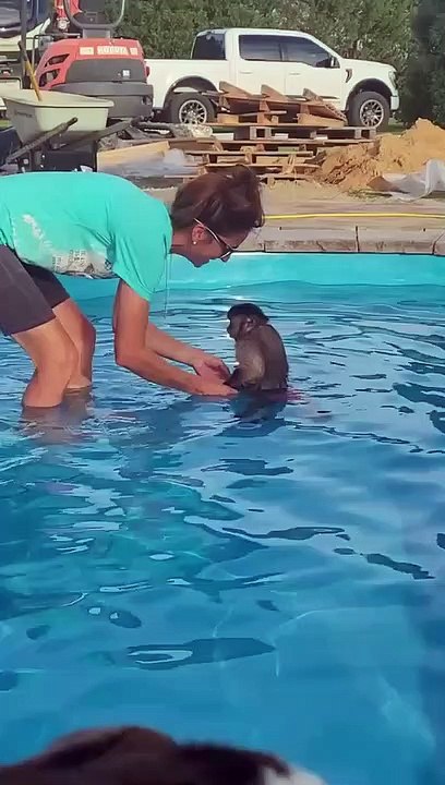 Pool!