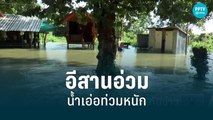 อีสาน น้ำท่วมหนัก บ้านเรือน-สำนักสงฆ์-ไร่นา กลายเป็นเมืองบาดาล | เที่ยงทันข่าว | 29 ส.ค. 65