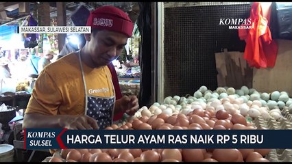 Harga Telur Ayam Ras Naik 5 Ribu Rupiah Per Rak