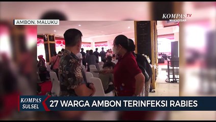 27 Warga Ambon Terinfeksi Rabies Setelah Digigit Anjing