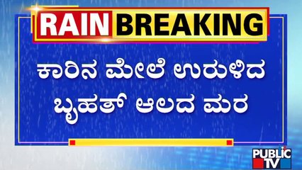 Huge Banyan Tree Falls On A Car Near Bidadi | Public TV