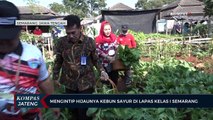 Mengintip Hijaunya Kebun Sayur di Lapas Kelas I Semarang