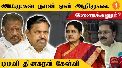 OPS இணக்கமா செயல்படுவோம்னுதான் சொன்னார் | TTV Dinakaran Speech