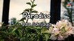 Ida Sanjaya - Paradiso (Official Lyric Video)