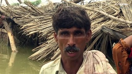 Inondations meurtrières au Pakistan : au moins 1061 personnes ont été tuées depuis juin