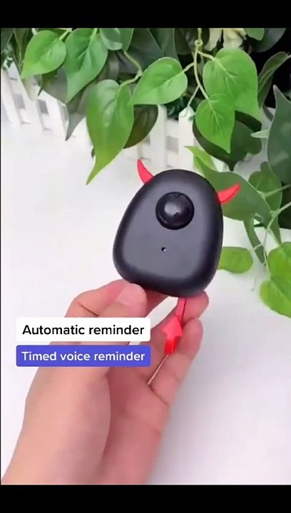 Automatic reminder & Key hook 1