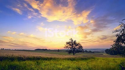 Travel and natural vibes.