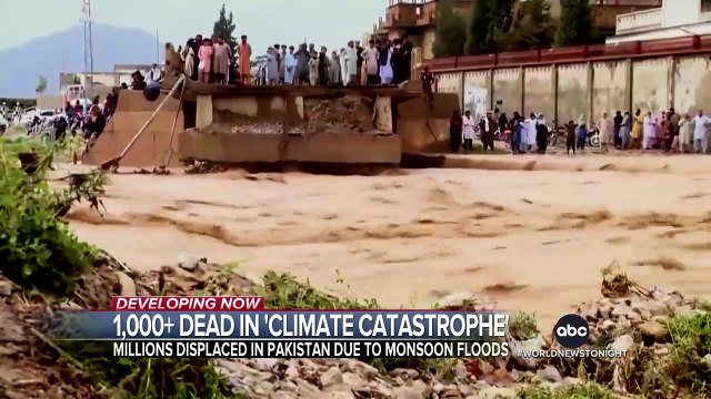 Les inondations provoquées par les pluies de mousson débutées en juin ont fait au moins 1.061 morts au Pakistan, selon le dernier bilan publié par l’Autorité nationale de gestion des catastrophes - VIDEO