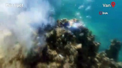 Mikrobiyalitlerden yükselen duman benzeri çıkışlar hayran bıraktı