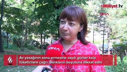 Av yasağının sona ermesine sayılı günler kala tüketicilere çağrı: Balıkların boyutuna dikkat edin