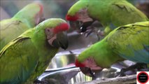 Visite au Zoo des Sables D ' Olonne ( Vendée ) - Dimanche 28 Août 2022