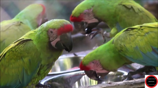 Visite au Zoo des Sables D ' Olonne ( Vendée ) - Dimanche 28 Août 2022