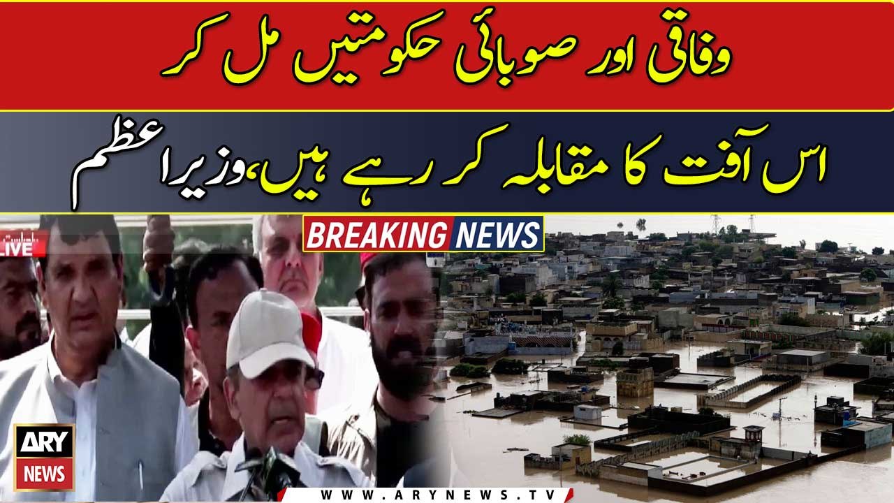Federal and provincial govts are collectively serving flood-hit affectees: PM Shehbaz